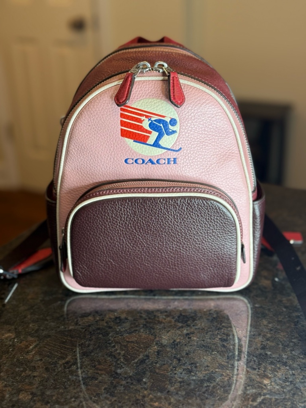 Coach Pink and Burgundy Colorblock Leather Mini Court Backpack Skiing